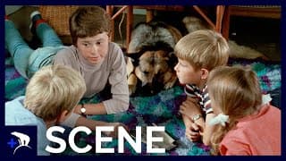 De 5 og spionerne (1969) - Ferietid