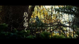 映画「鳥を導く」日本語版 予告編