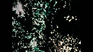 trace (1980)
