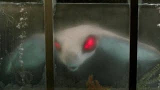 Lords of the Deep (1989) Trailer