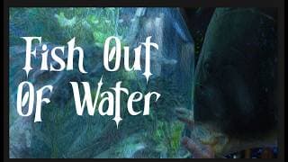 Fish Out Of Water
