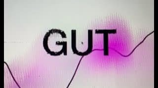 2023 GUT TRAILER