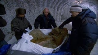 The Perfectly Preserved Frozen Yuka Mammoth Mummy - Woolly Mammoth: Secrets from the Ice - BBC Two