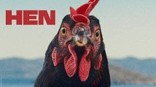 The Hen - Official Trailer