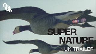 Official UK Trailer
