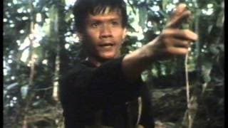 The Iron Triangle (1989) Trailer