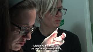 On Cats And Humans | Trailer | BELDOCS 2026