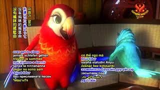 Birds of Paradise DVD