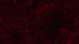 RESET Intro Clip