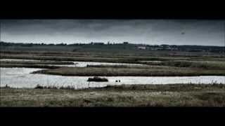 The Hide movie trailer