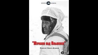 Журавли над Ильменем,  2005 год