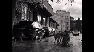 Filmmuseum-Trailer: "Faith" (Lav Diaz, 2024)