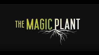 The Magic Plant   Trailer