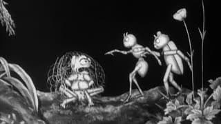 The Tale of a Tendril (1925) | BFI National Archive