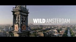 Wild Amsterdam - Official trailer with English subtitles