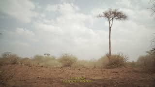 Trailer | Muzungu | Ben Donateo, Michel Passos Zylberberg