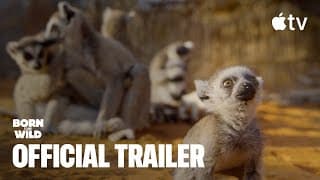 Official Trailer