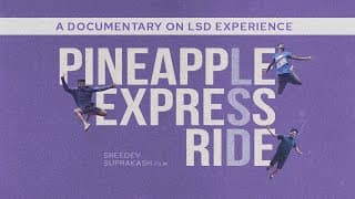Pineapple Express Ride | Sreedev Suprakash | Vagabonds Parallel Culture