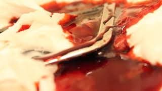 Fleas Trailer