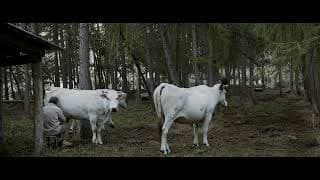 ALPENLAND - Trailer