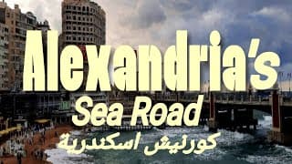 Alexandria (short film) (2024)