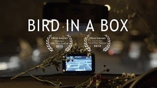 GPS comedy | Bird In A Box | short film rom-com | Brian d'Arcy James, Fiona Glascott