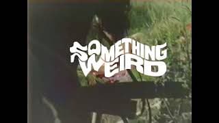 The Erotic Adventures Of Zoro from Something Weird Best Of David F. Friedman LP or CD + DVD