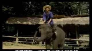 Shining Boy & Little Randy trailer