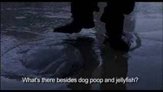 JELLYFISH TRAILER