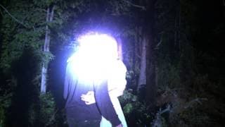 Nightfur - Trailer