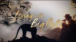 Living With Big Cats - Trailer - Wildlife Films - National Geographic