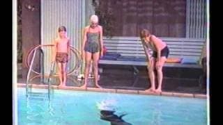 Sammy the Way-Out Seal trailer.wmv