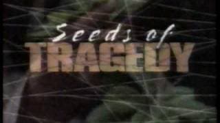 Seeds of Tragedy TV Trailer