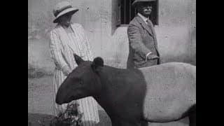 Indian Wildlife Park (1925)