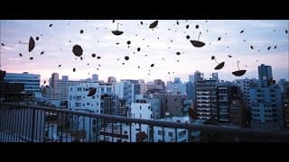 Bamy Trailer 90sec. TFF