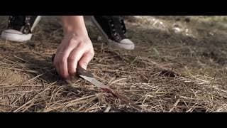 THE ENDS HAS COME TRAILER