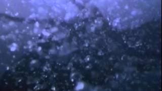 Octopus (2000) Trailer