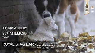 Bruno & Juliet | Imtiaz Ali | Royal Stag Barrel Select Large Short Films
