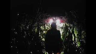 FAWN trailer
