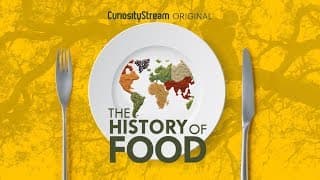 The History of Food