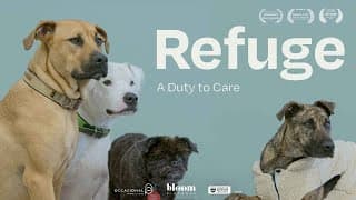 Refuge: A Duty of Care | Trailer | Available Now