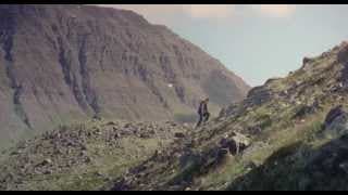 SPARROWS (2015) - Official Trailer