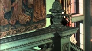 The Disorderly Orderly - Trailer
