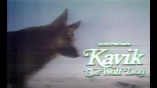 1980 NBC promo The Courage of Kavik, the Wolf Dog