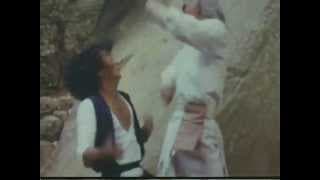 Seven Commandments of Kung Fu (1979) original trailer
