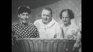 Stop! Look! And Laugh! Trailer