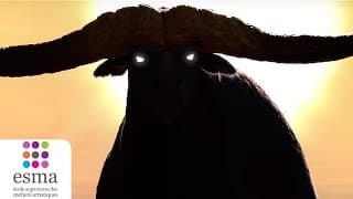 Official Teaser