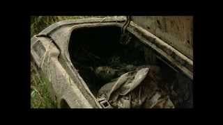 REESEVILLE MOVIE TRAILER 2003