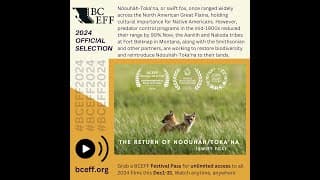 The Return of Nóouhàh Toka'ana (Swift Fox) - BCEFF 2024 OFFICIAL SELECTION