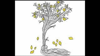 Limbo of Roots